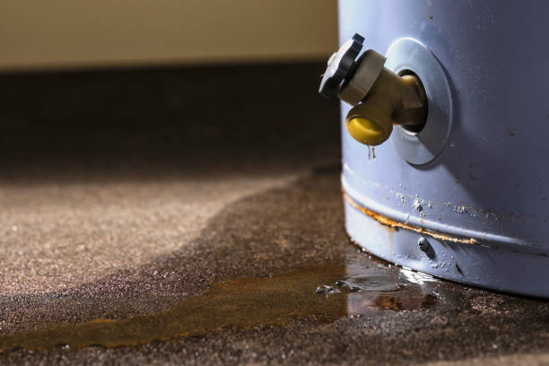 Best Water damage cleanup near me  in Little Elm, TX