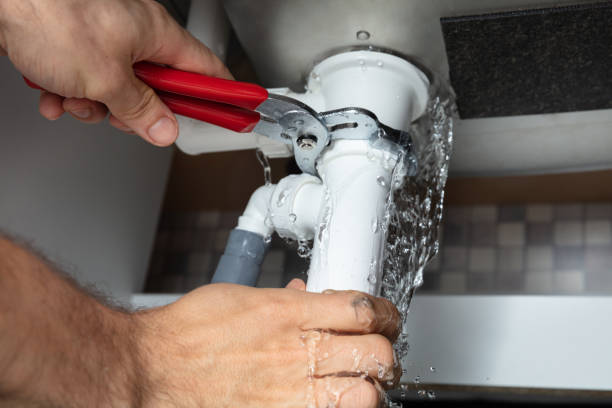 Best Professional water damage repair  in Little Elm, TX