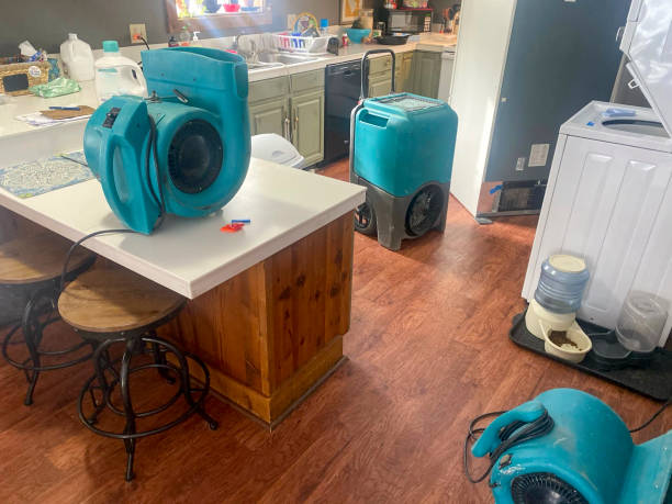 Best Residential water damage restoration  in Little Elm, TX