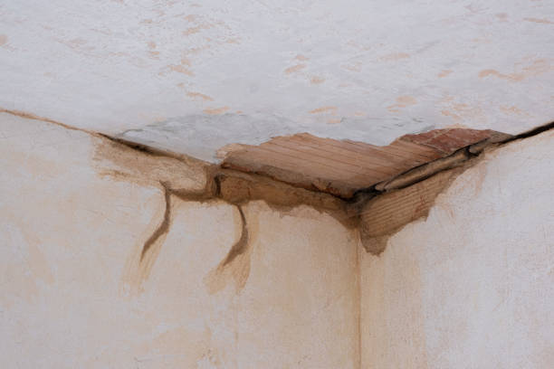 Best Flood restoration services  in Little Elm, TX