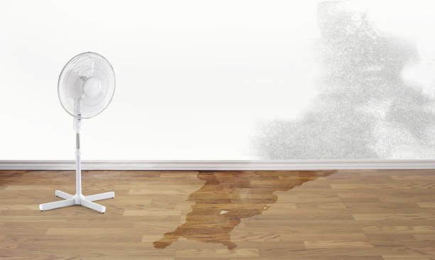 Professional Water damage restoration in Little Elm, TX