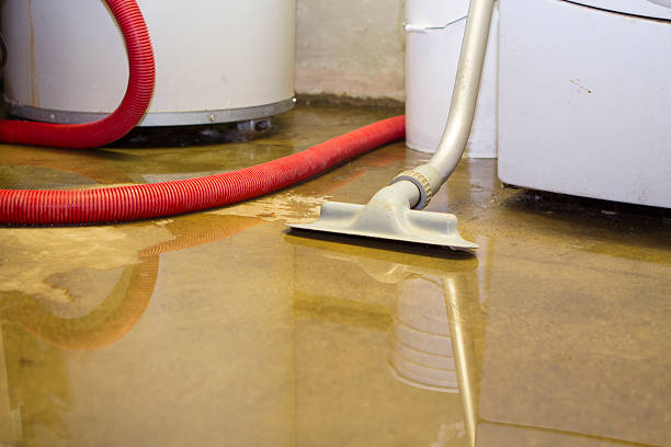 Best Water damage restoration services  in Little Elm, TX
