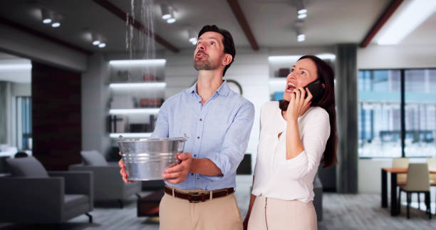 Best Flood damage cleanup  in Little Elm, TX